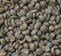 Gayo Origin Coffee Bean