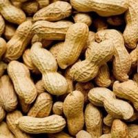 peanuts