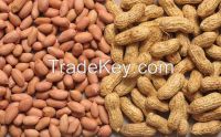 PEANUT/GROUNDNUTS