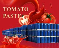 Tomato Paste in Drum Bulk 28-30% and 36-38% cold break new crop  in Aseptic bag and steel drum packing