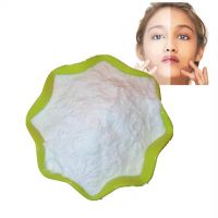 Supply Plant Extract Skin Whitening CAS 84380-01-8 Pure Alpha Arbutin Powder