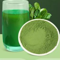 Private Label Superfood Ingredients Organic Super Green Powder for Beverages and Foods