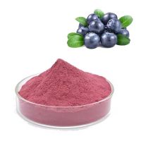 Natural Organic Bilberry Extract Powder Freeze-dried Blueberry Fruit Powder