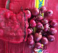 Chinese Fresh Red Onions 5-8cm Good Quality