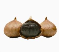 Dehydrated Black Garlic Granules Food Ingredients