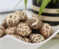 Dehydrated Food Dried Flower Shiitake Mushroom