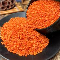 Wholesale Supply High Quality Red Lentils Beans New Crop Cheap Split Red Lentils