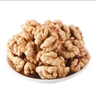 Organic Pecan Nuts Raw and Dried Processing for Food and Snacks
