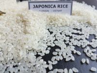Japonica Rice/Sushi Rice/Round Rice