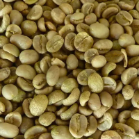 ARABICA COFFEE BEAN SCREEN 18 STANDARD