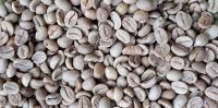 ARABICA COFFEE BEAN SCREEN 16 STANDARD