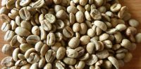 ARABICA COFFEE BEAN SCREEN 16 COLOR SORTER