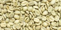 Robusta coffee beans screen 16 standard