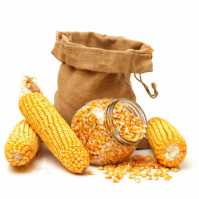 Cheap NON GMO Yellow corn for Export Bulk supply dried Yellow Maize Farm Price