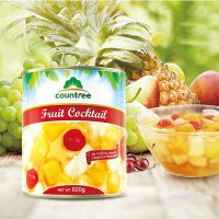 Popular Delicious Health Food Canned Fruit Cocktail Canned Mixed Fruit