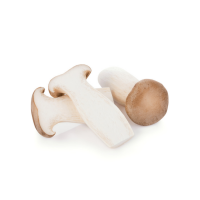 Fresh King Oyster Mushrooms with the Freshest and Most Nutritious Mushrooms