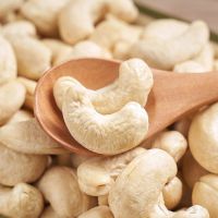 VN - Organic Cashew Nuts - Organic Cashews Cheap Price Raw Cashew