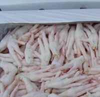 Halal Certified Frozen Chicken Feet | Brazil Chicken Feet