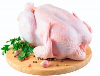 Premium Grade A Frozen Whole Chicken and Chicken Parts Halal Certified for Export Ã¢ï¿½ï¿½ Bulk Supply Available Worldwide