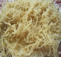 The Best Price and High Quality Sea Moss