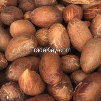 https://ar.tradekey.com/product_view/Bitter-Kolanut-Sesame-Seed-9810595.html