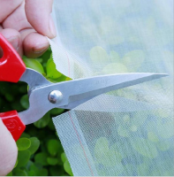 Vegetable Insect Net PE Polyethylene Mesh