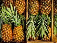 Sweet Fresh Pineapple