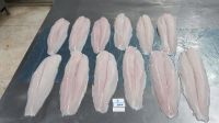 Pangasius Fillet Well-trimmed Skin off