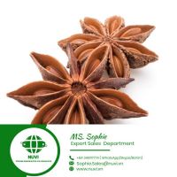 Standard star anise from Vietnam