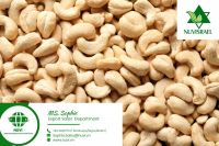 White whole cashew nuts all grades from Vietnam