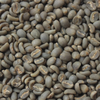 Lintong Coffee Bean