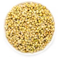 Green Buckwheat Grain