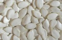 Selling Quality Snow White Pumpkin Seeds