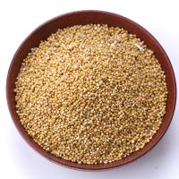 Selling  Green Millet /Best quality/ competitive price/Fast delivery time