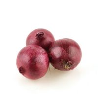 Red Onion ( Fresh ) Available Throughout