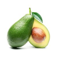 FRESH AVOCADO HIGH QUALITY and BEST PRICE