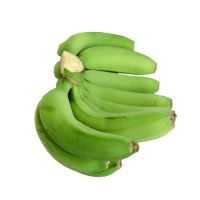 tropical green banana growers