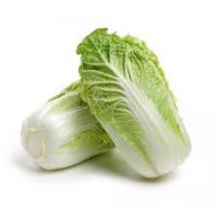 https://ar.tradekey.com/product_view/Buy-Fresh-Cabbage-9833981.html