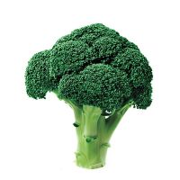 https://fr.tradekey.com/product_view/Asda-Fresh-Broccoli-9834019.html