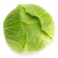 fresh long cabbage