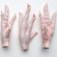 chicken feet and paws for sale germany