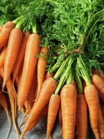 Fresh Carrots For Sale Houston