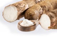 https://jp.tradekey.com/product_view/Cassava-Flour-For-Sale-Near-Me-9834685.html