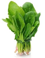 fresh spinach vegetable for sale australia