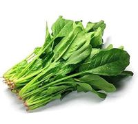 fresh spinach vegetable for sale bulk