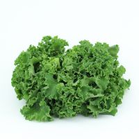 kale vegetable for sale by owner
