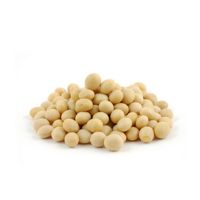 cheap soybean seed for sale