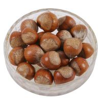 https://jp.tradekey.com/product_view/Best-Place-To-Buy-Hazelnuts-9835851.html