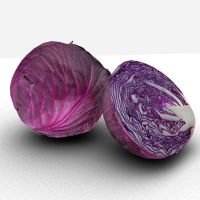 fresh red cabbage for sale home depot