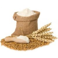 https://www.tradekey.com/product_view/Bread-Wheat-Flour-For-Sale-9835293.html
